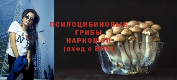 гидропоника Осинники