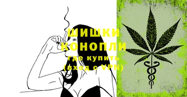гидропоника Осинники