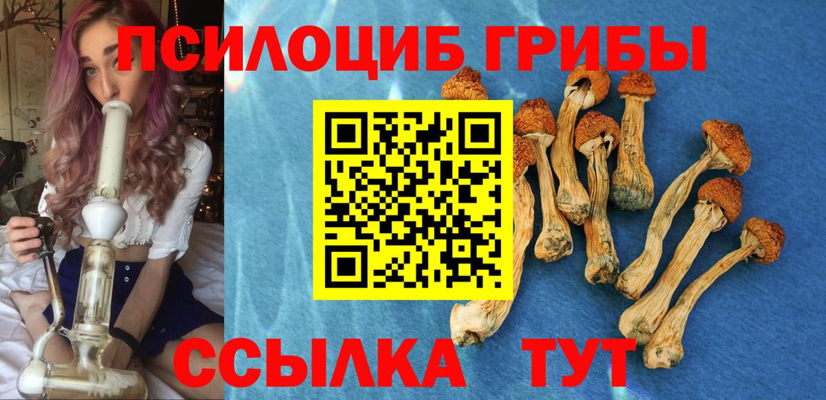 Крымск  Псилоцибиновые грибы прущие грибы  дарнет шоп  Вход с VPN 