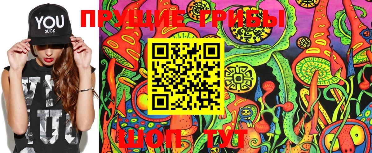 Псилоцибиновые грибы Psilocybine cubensis Крымск
